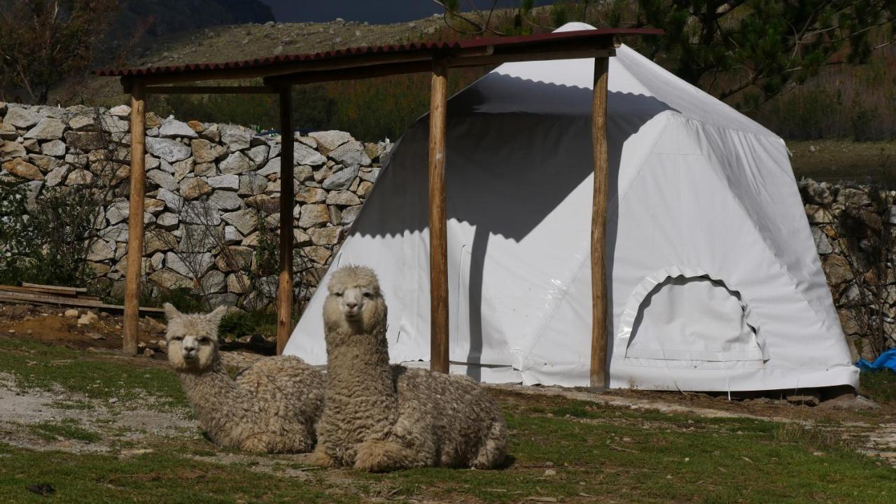 Domos Cordillera Blanca Villa Huaraz  Luaran gambar